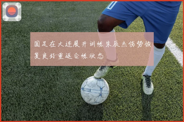 国足在大连展开训练朱辰杰伤势恢复良好重返合练状态
